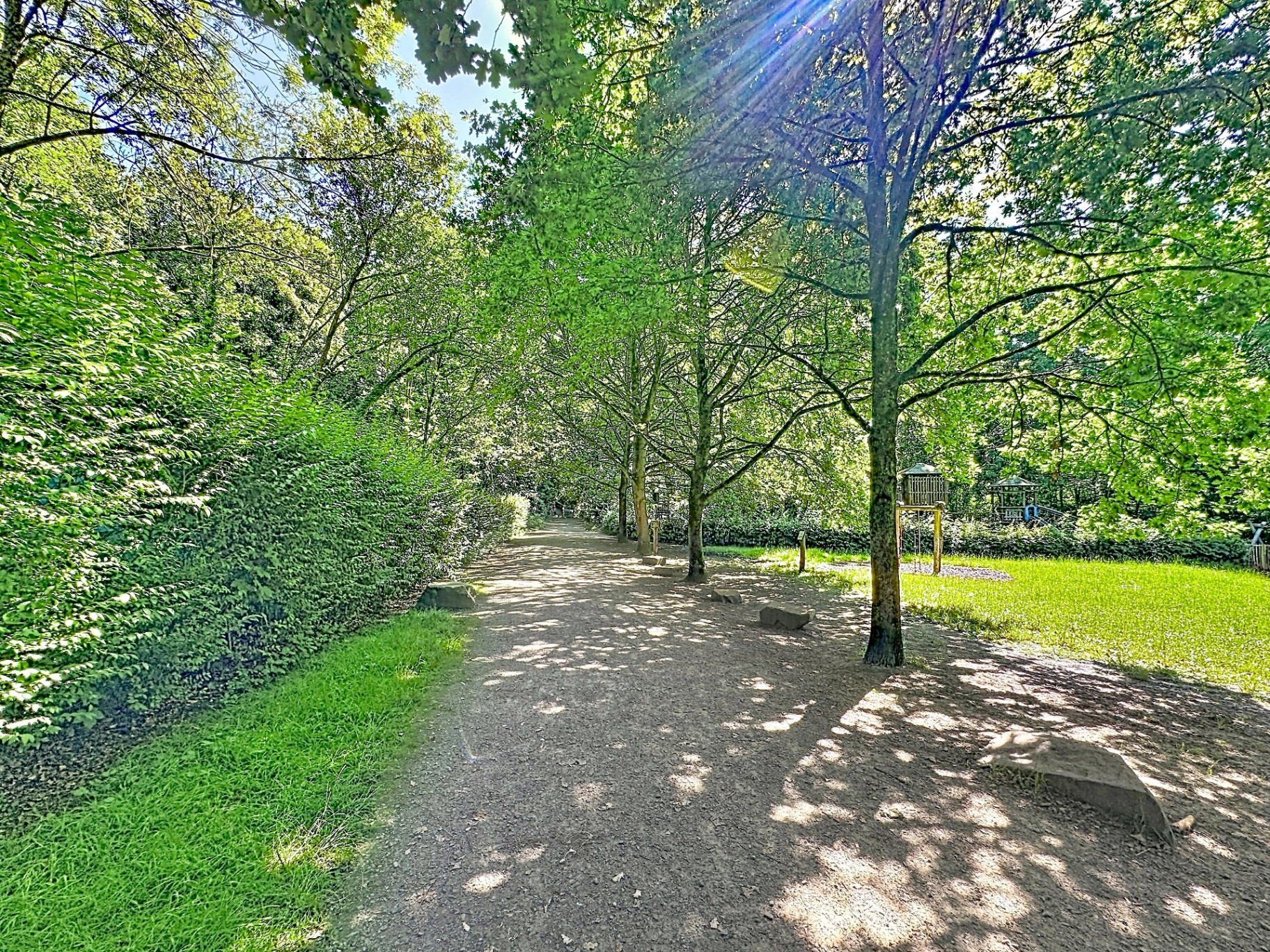 Le bois du Wilder à Berchem-Sainte-Agathe